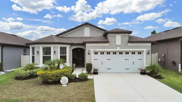 11121 Green Harvest Drive, Riverview, FL, 33578
