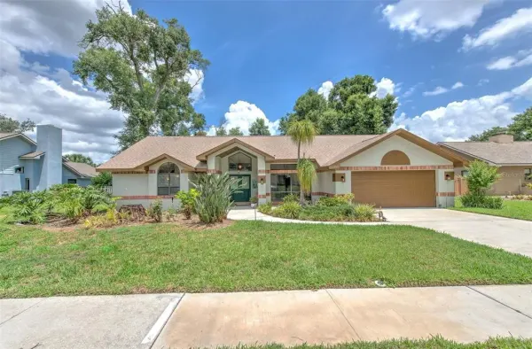 3816 Buckingham Loop Drive, Valrico, FL, 33594