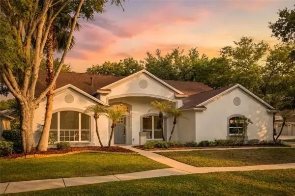 10117 Whisper Pointe Drive, Tampa, FL, 33647