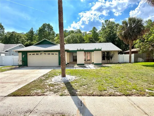 15306 Winterwind Drive, Tampa, FL, 33624