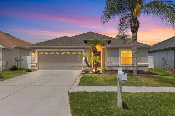 3911 Langdrum Drive, Wesley Chapel, FL, 33543