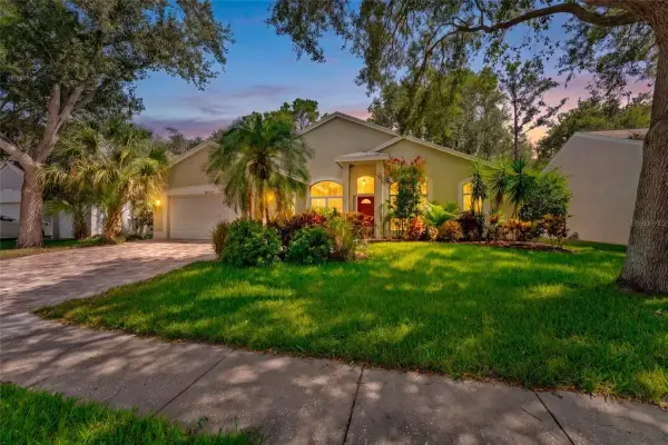 4287 Tremblay Way, Palm Harbor, FL, 34685