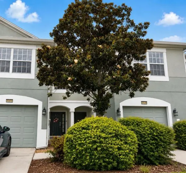 10137 Pink Palmata Court, Riverview, FL, 33578