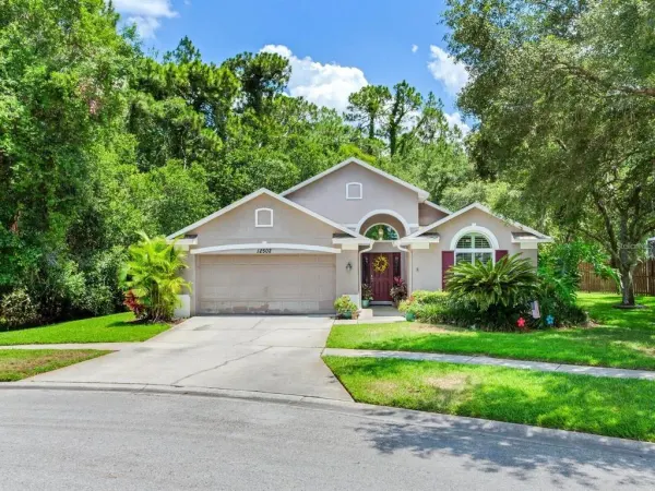 12502 Blazing Star Drive, Tampa, FL, 33626