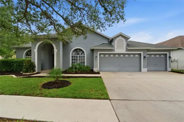 19348 Wind Dancer Street, Lutz, FL, 33558