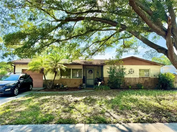 1406 Pineapple Lane, Clearwater, FL, 33759