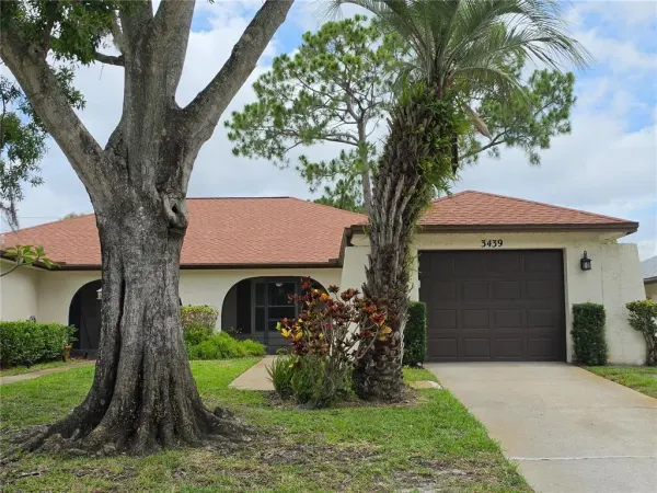 3439 Maclaren Drive, Palm Harbor, FL, 34684