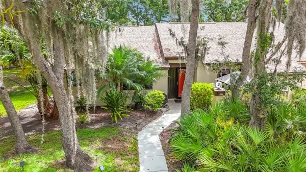 2983 Elder Court, Palm Harbor, FL, 34684