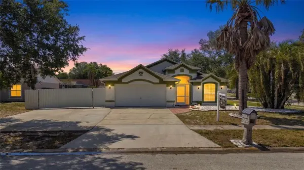 10536 Salisbury Street, Riverview, FL, 33569
