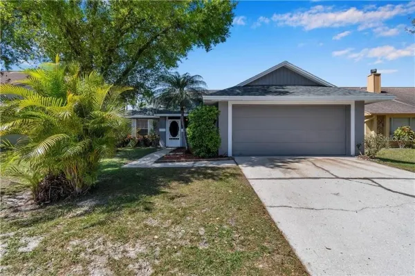 7110 Hollowell Drive, Tampa, FL, 33634