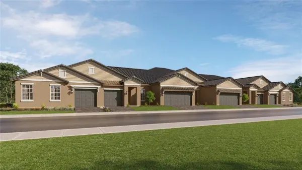 10118 Minnow Ray Drive, Land O Lakes, FL, 34638