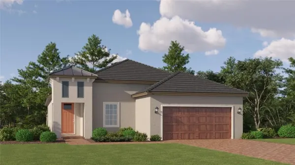 10426 Minnow Ray Drive, Land O Lakes, FL, 34638
