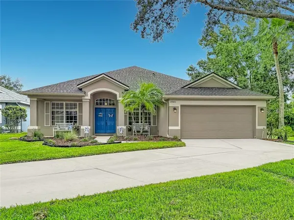 19101 Golden Cacoon Place, Lutz, FL, 33558