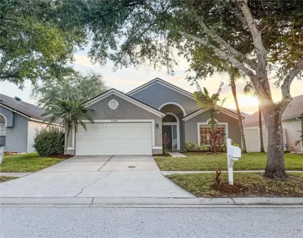 8608 Fawn Creek Drive, Tampa, FL, 33626