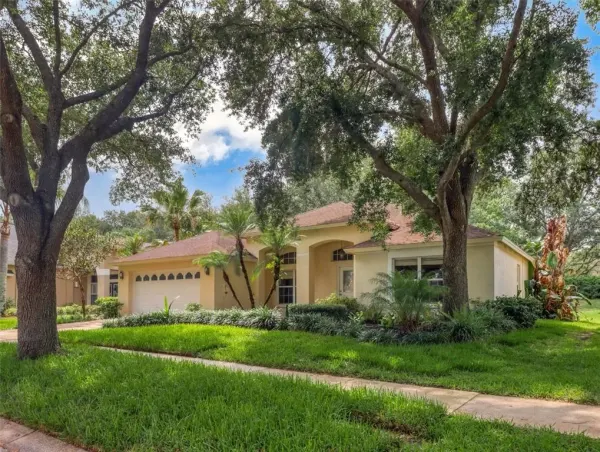 10110 Whisper Pointe Drive, Tampa, FL, 33647
