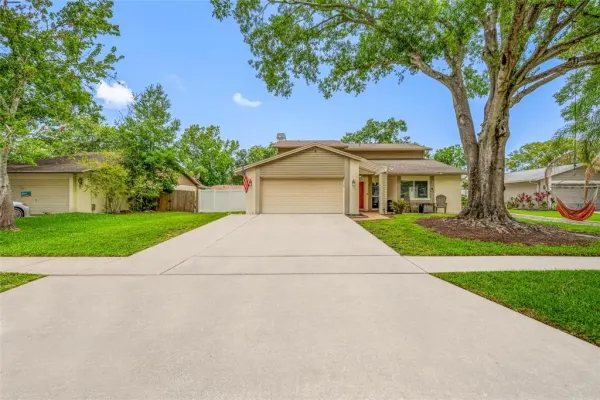 15816 Hound Horn Lane, Tampa, FL, 33624
