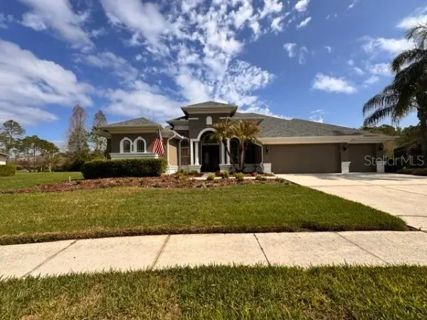 23534 Gracewood Circle, Land O Lakes, FL, 34639