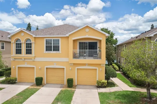 9107 Moonlit Meadows Loop, Riverview, FL, 33578