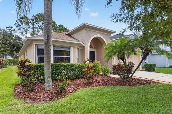 19305 Sea Mist Lane, Lutz, FL, 33558
