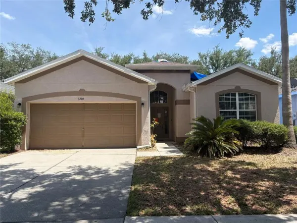 8205 Whistling Pine Way, Tampa, FL, 33647