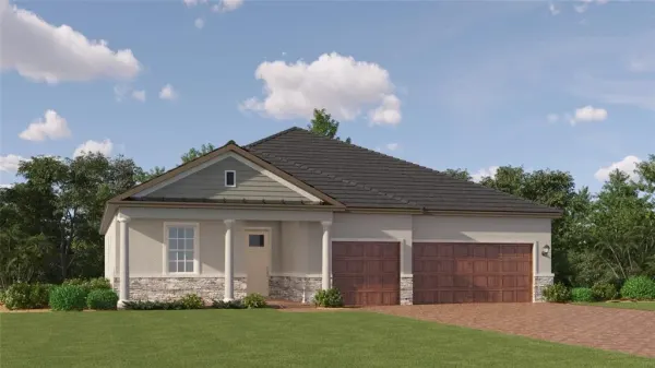 9161 Minnow Ray Drive, Land O Lakes, FL, 34638