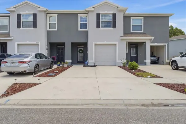 32825 Pez Landing Lane, Wesley Chapel, FL, 33543