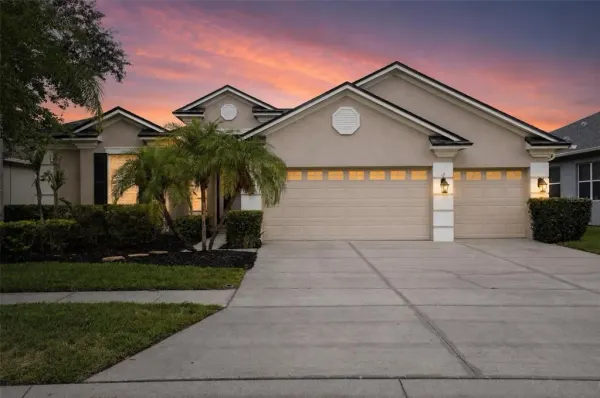 2753 Blueslate Court, Land O Lakes, FL, 34638