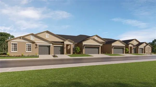9840 Rye Cobia Drive, Land O Lakes, FL, 34638