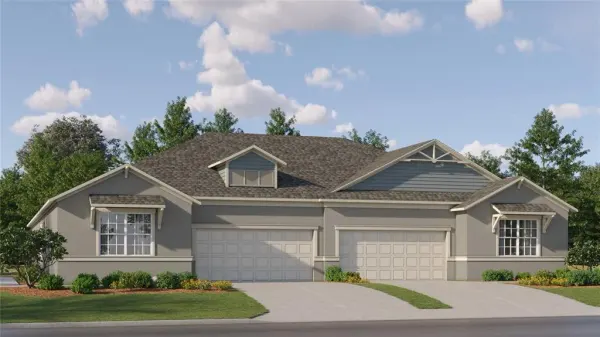 9405 Scouter Bee Place, Land O Lakes, FL, 34637
