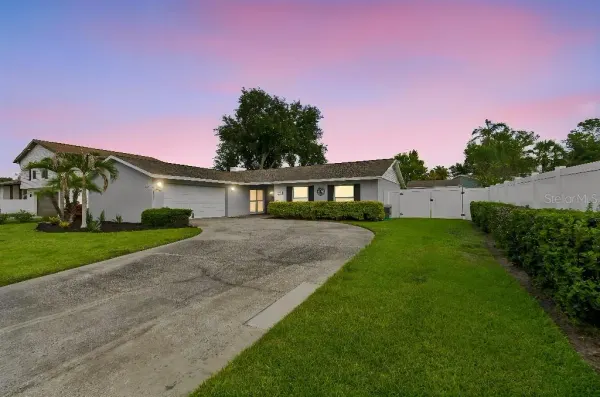 4009 Mountain Springs Lane, Tampa, FL, 33624