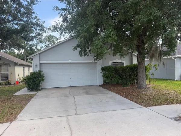 6529 Tabogi Trail, Wesley Chapel, FL, 33545