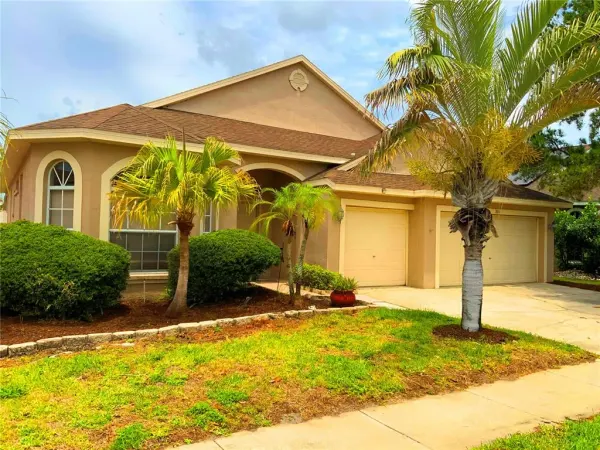 1805 Wood Bend Street, Tarpon Springs, FL, 34689
