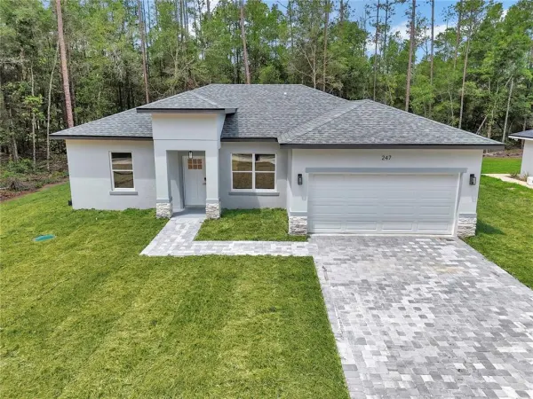 247 E Mc Faddin Place, Citrus Springs, FL, 34434