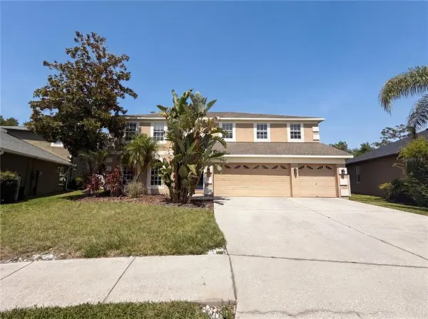 3518 Braemar Street, Land O Lakes, FL, 34638