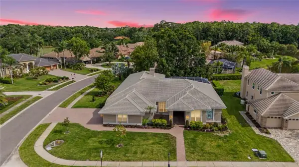 1319 Forestedge Boulevard, Oldsmar, FL, 34677