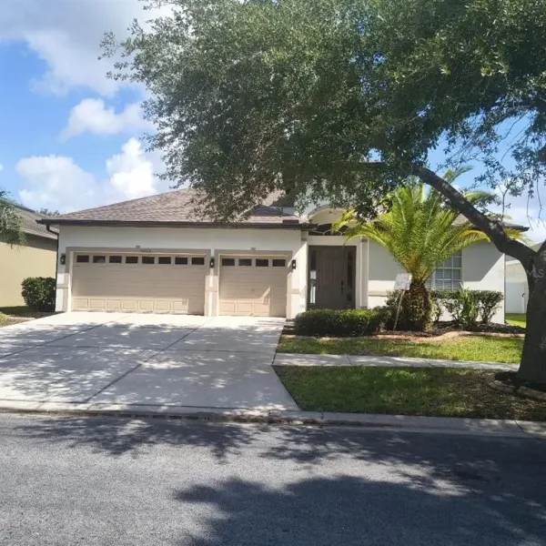 20016 Oakflower Avenue, Tampa, FL, 33647