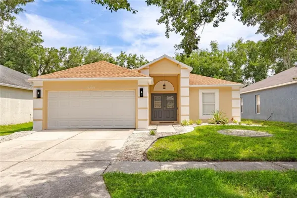 19204 Wood Sage Drive, Tampa, FL, 33647