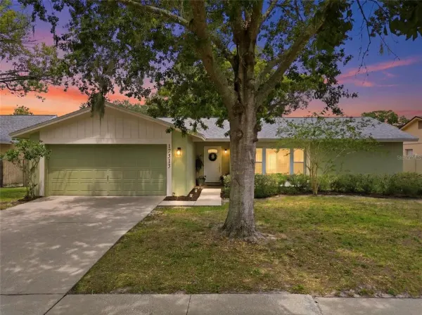 17513 Shadyside Circle, Lutz, FL, 33549