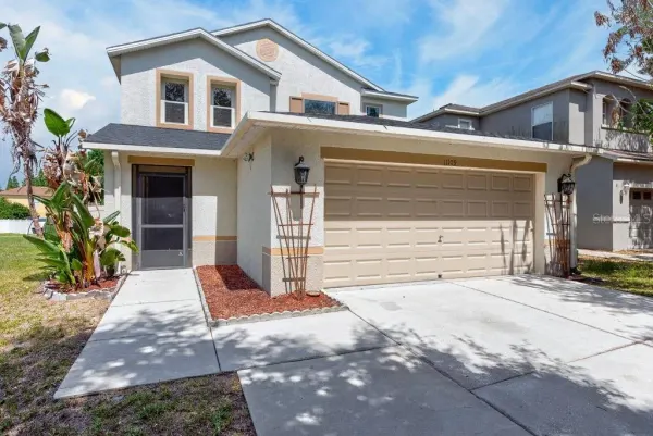 11109 Silver Fern Way, Riverview, FL, 33569