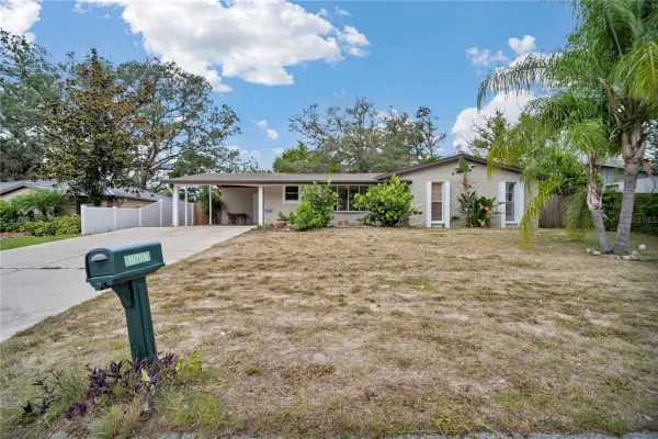 10708 N Ojus Drive, Tampa, FL, 33617
