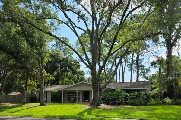 8313 Pat Boulevard, Tampa, FL, 33615