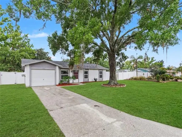 22630 Newfield Court, Land O Lakes, FL, 34639
