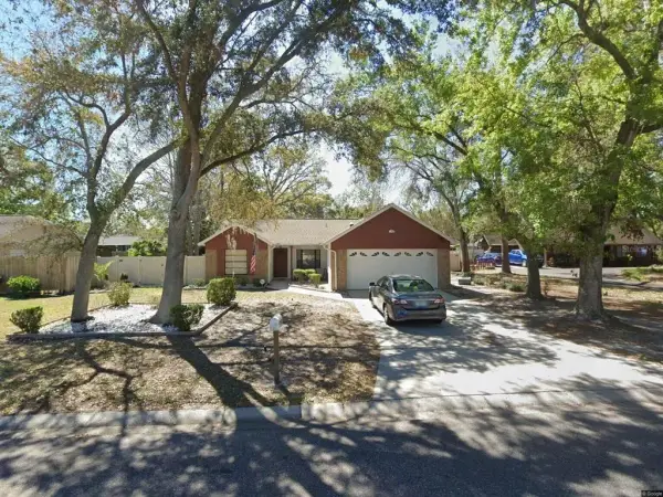 1917 Dove Field Place, Brandon, FL, 33510