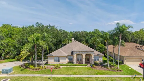 18615 Chemille Drive, Lutz, FL, 33558
