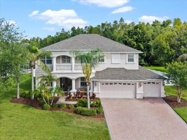 27335 Roseling Court, Wesley Chapel, FL, 33544