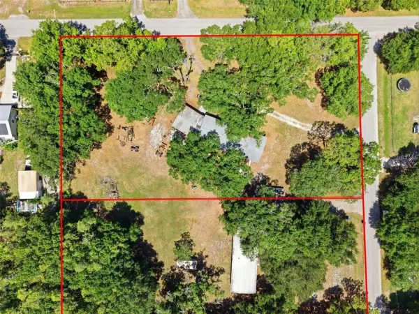 1136 Wildwood Lane, Lutz, FL, 33558