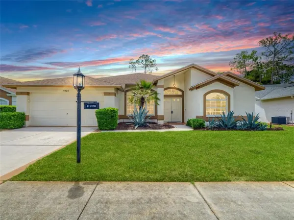11228 Windrush Circle, Hudson, FL, 34667