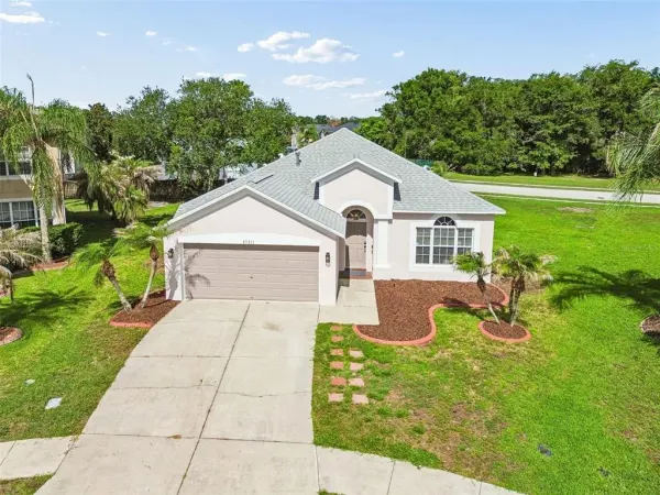 27211 Liriope Court, Wesley Chapel, FL, 33544