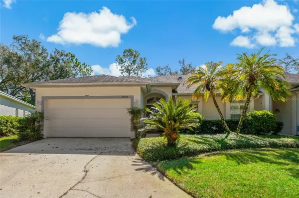 19029 Callaway Court, Tampa, FL, 33647