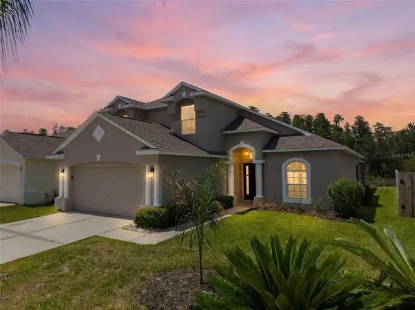 30609 Tremont Drive, Wesley Chapel, FL, 33543